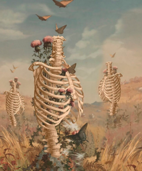 POPYsassdc94xvevfzx1a7hg3fdssddsfg18334hjgfdasdxcvbfgesd